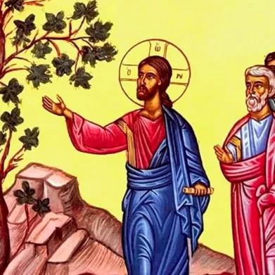 Conversão e Misericórdia: O Chamado a Dar Frutos